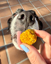 "Boop Bites" Dog Treats