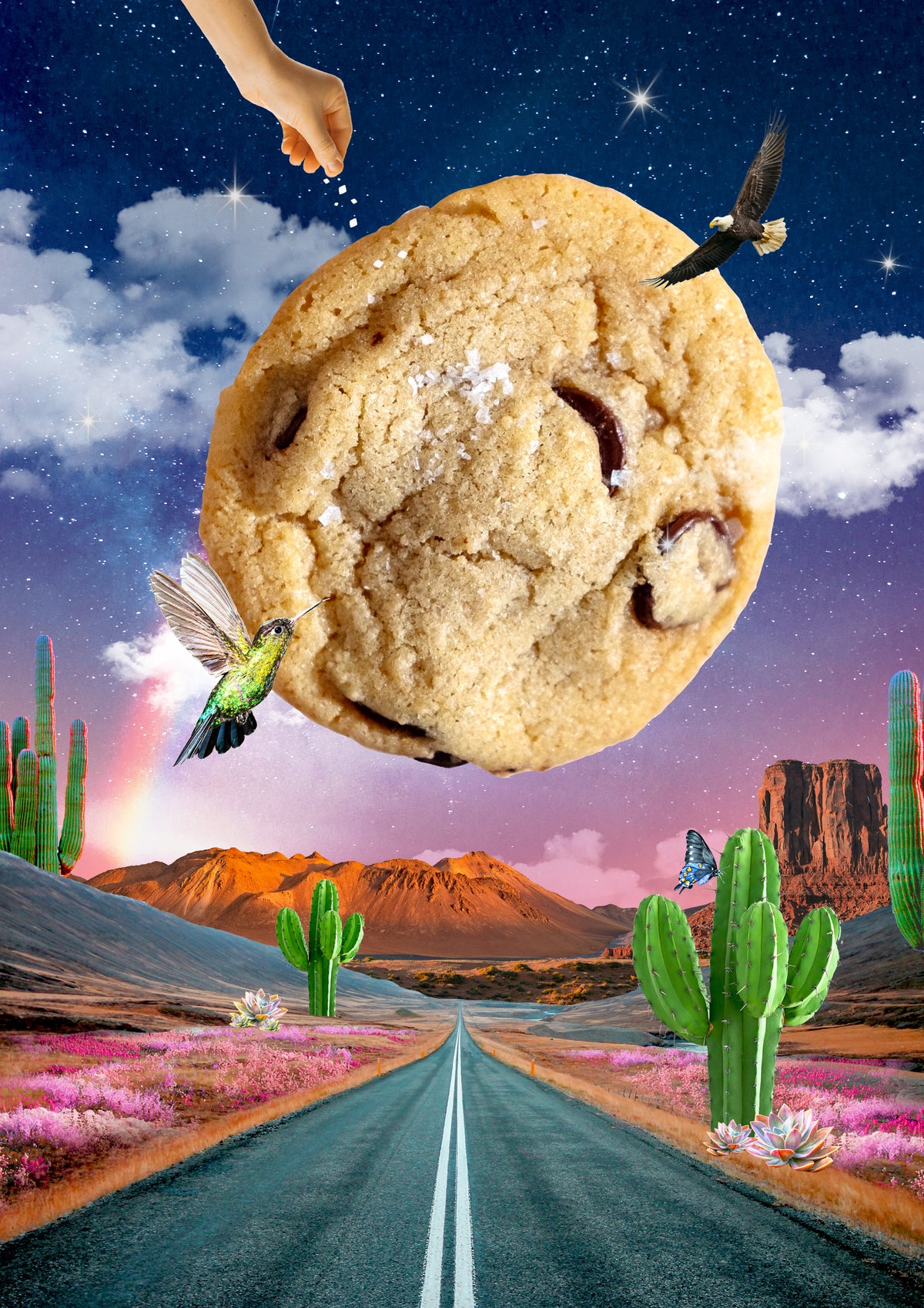 "OMG" Chocolate Chip Cookies (dozen)