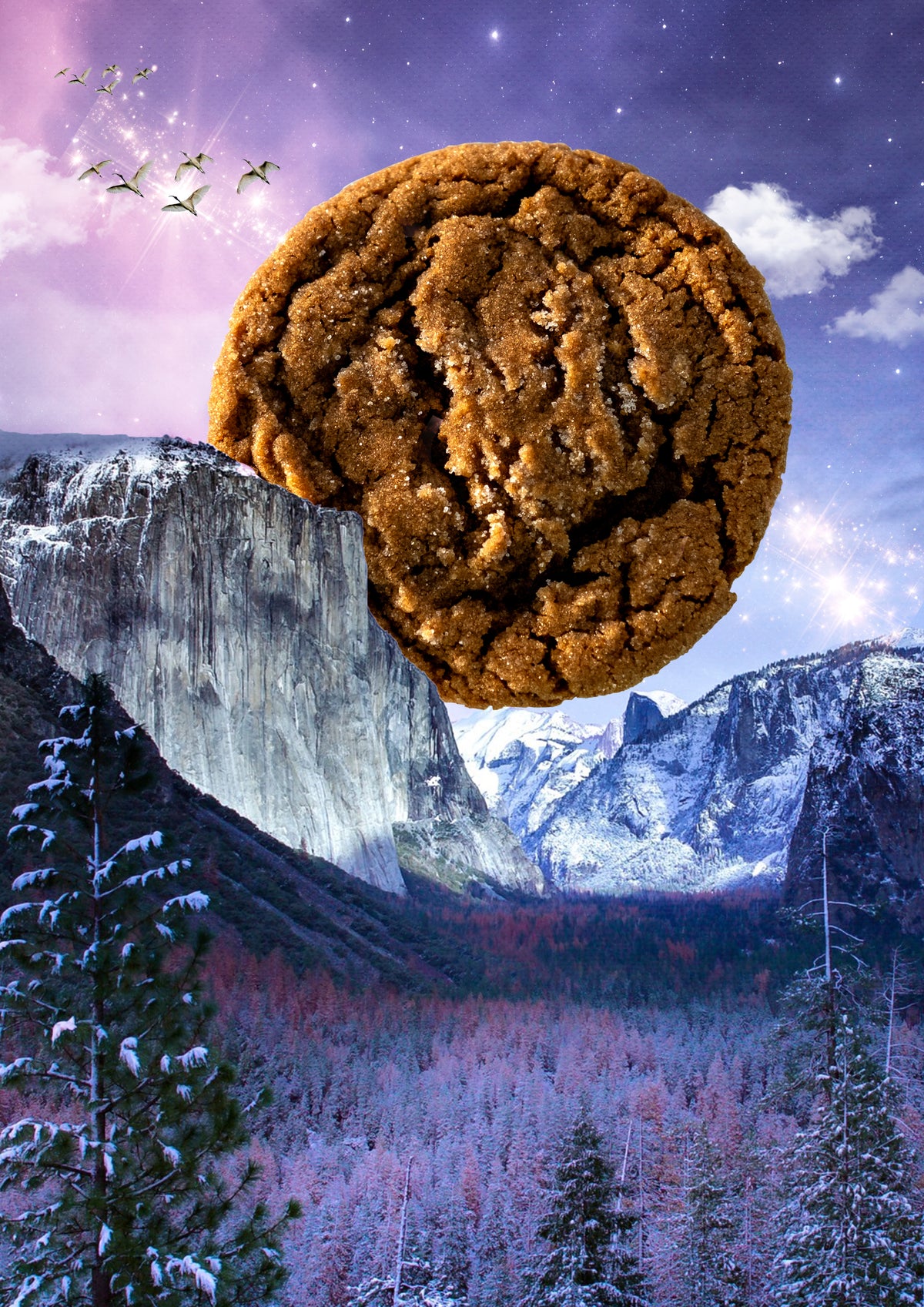 "Nice Spice" Molasses Ginger Cookies (dozen)