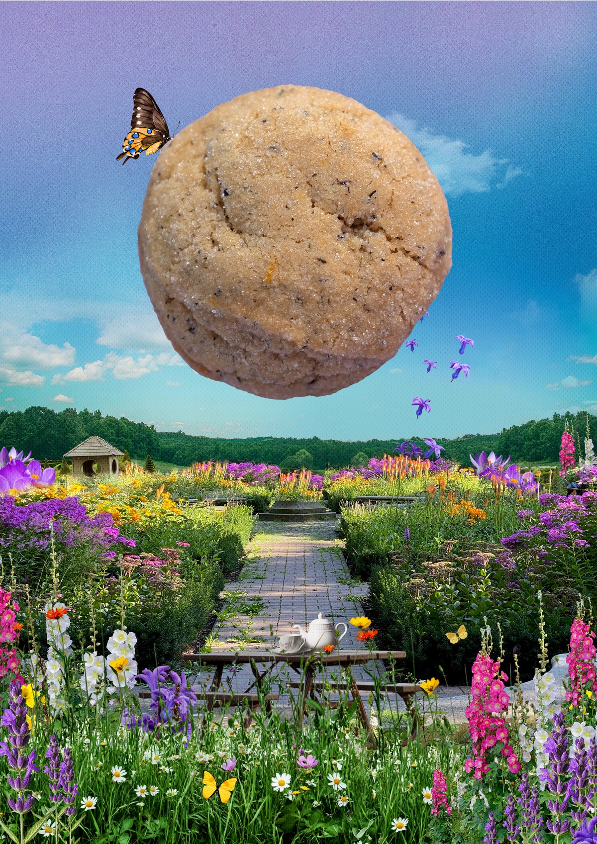 "Tea Time" Earl Grey Cookies (dozen)