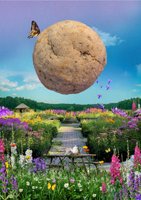 "Tea Time" Earl Grey Cookies (dozen)