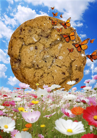 "Daydream" Toffee, Brown Butter, Sea Salt Cookies