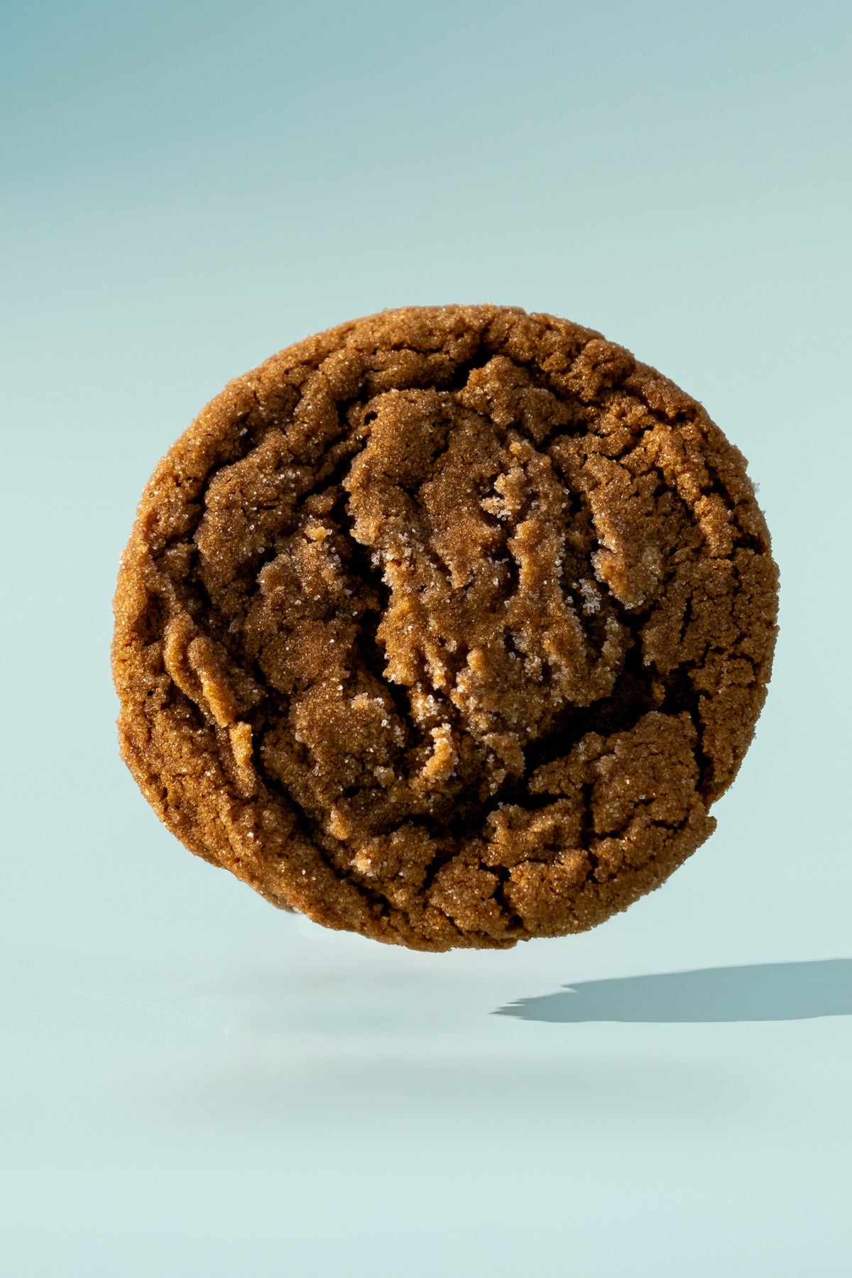 "Nice Spice" Molasses Ginger Cookies (dozen)