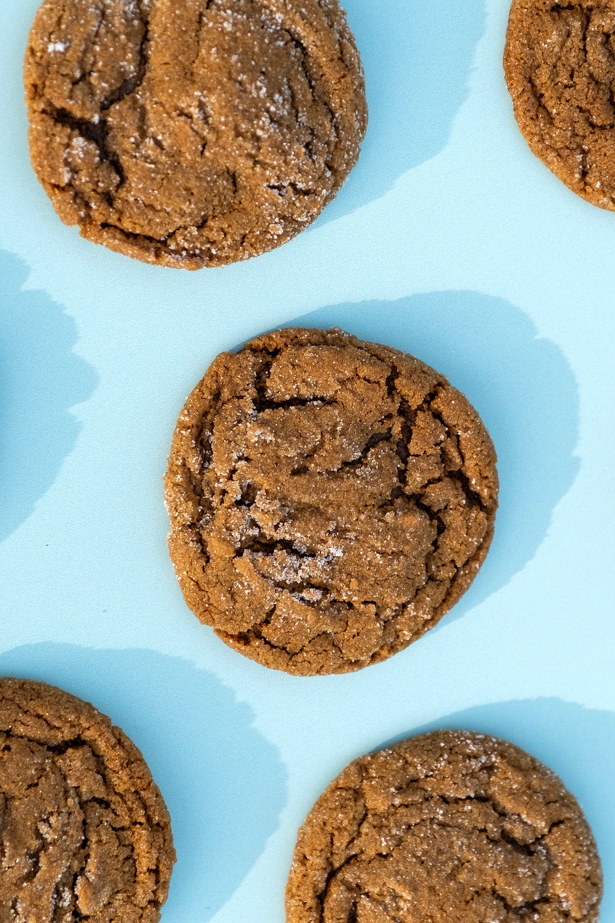 "Nice Spice" Molasses Ginger Cookies (dozen)