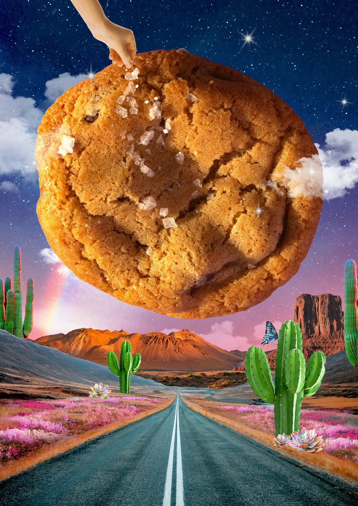 "OMG" Chocolate Chip Cookies