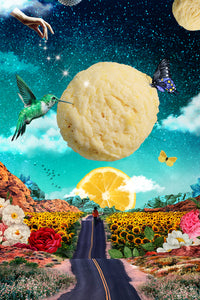 "Sunshine" Lemon Cookies (dozen)
