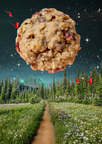 "Trailblazer" Oatmeal Cranberry Chocolate Chip Cookies (dozen)