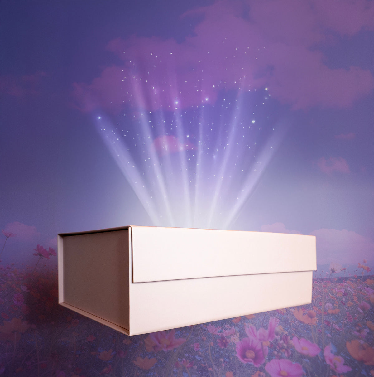 Ultimate Combo Box (2 Dozen)