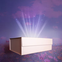 Ultimate Combo Box (2 Dozen)