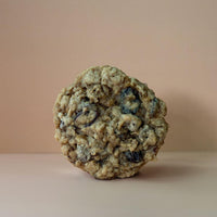 "Trailblazer" Oatmeal Cranberry Chocolate Chip Cookies (dozen)